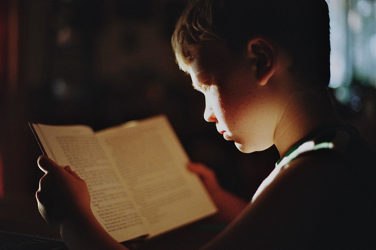 What readers should know before reading expert opinions